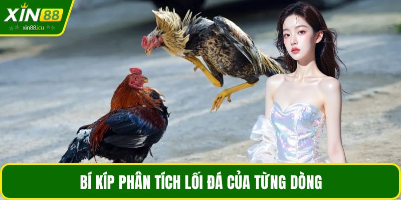 Bí kíp phân tích lối đá của từng dòng