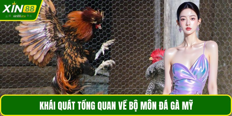 Khái quát tổng quan về bộ môn đá gà Mỹ