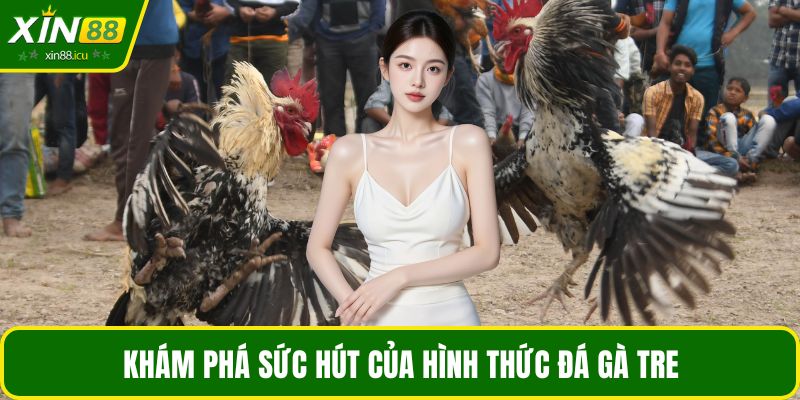 Khám phá sức hút của hình thức đá gà tre