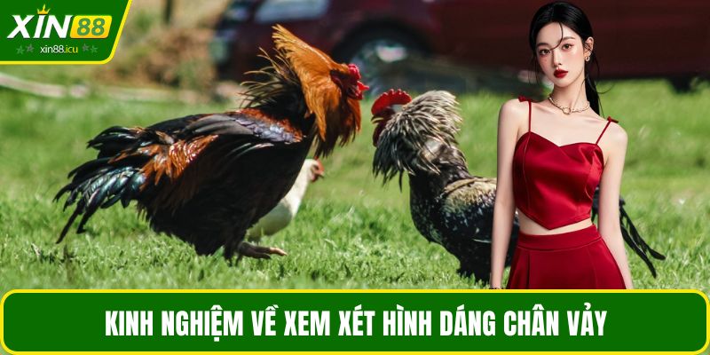 Kinh nghiệm về xem xét hình dáng chân vảy