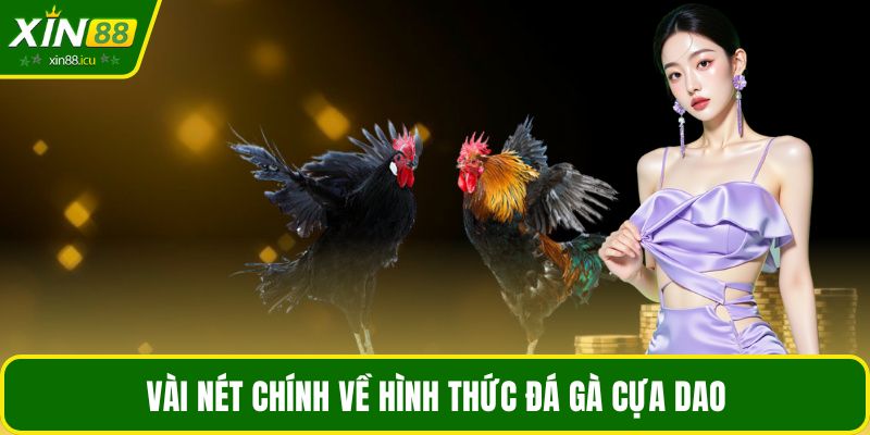 Vài nét chính về hình thức đá gà cựa dao